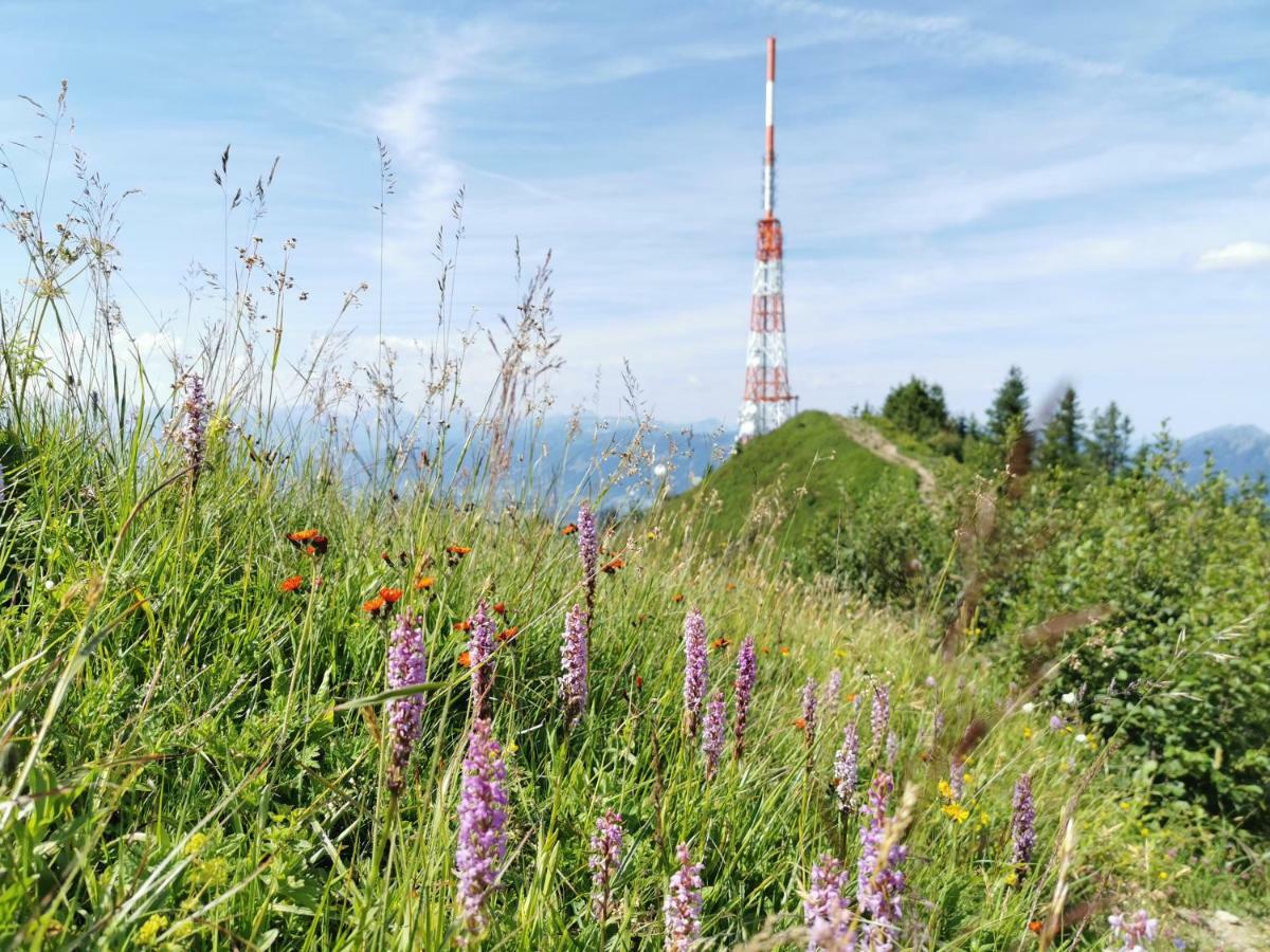 Ferienwohnung Am Eichwald Immenstadt im Allgäu Buitenkant foto