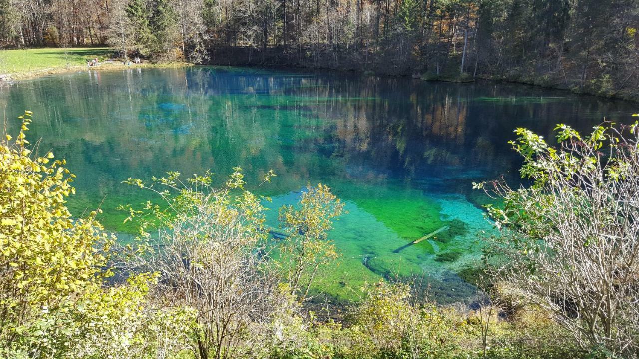Ferienwohnung Am Eichwald Immenstadt im Allgäu Buitenkant foto